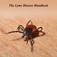 Lyme Disease PLR
