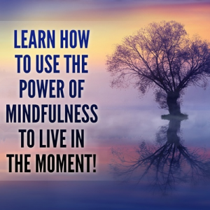 Mindfulness PLR