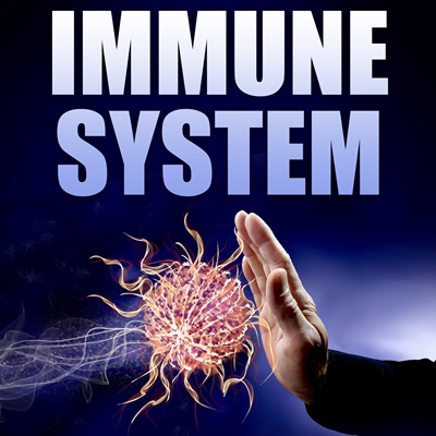 Immune System PLR