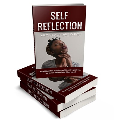 Self-Reflection PLR Report