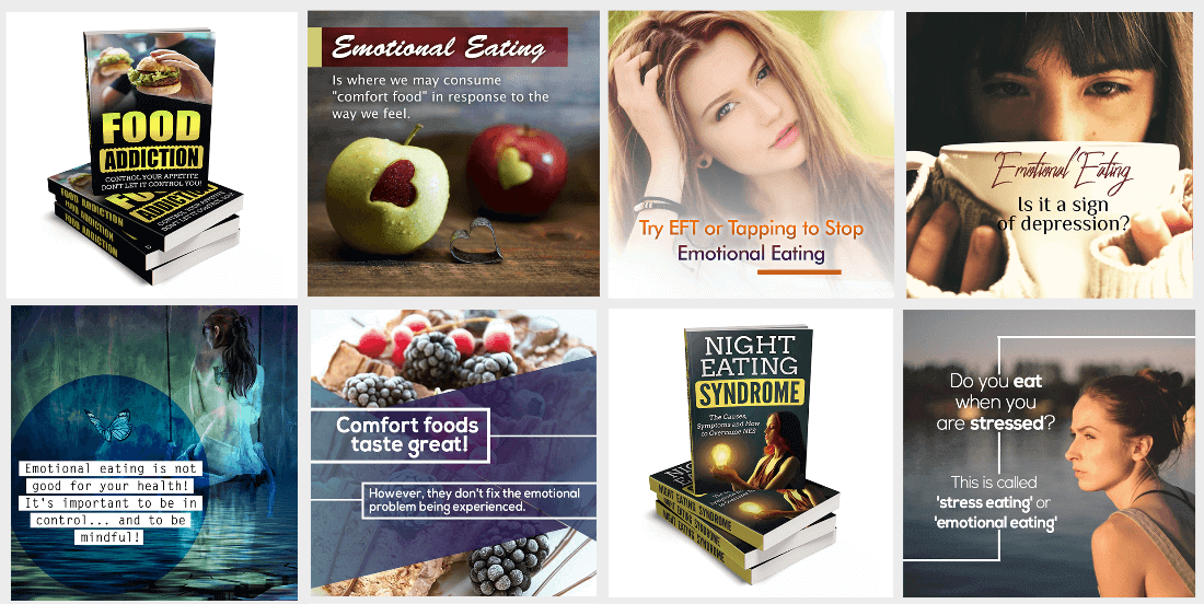 Emotional Eating PLR Special FE Banner