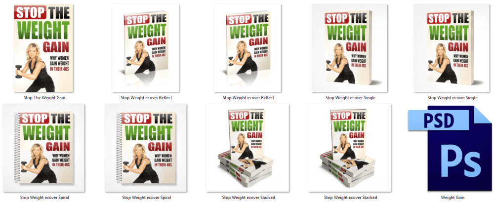 Stop The Weight Gain PLR eBook Cover Graphics