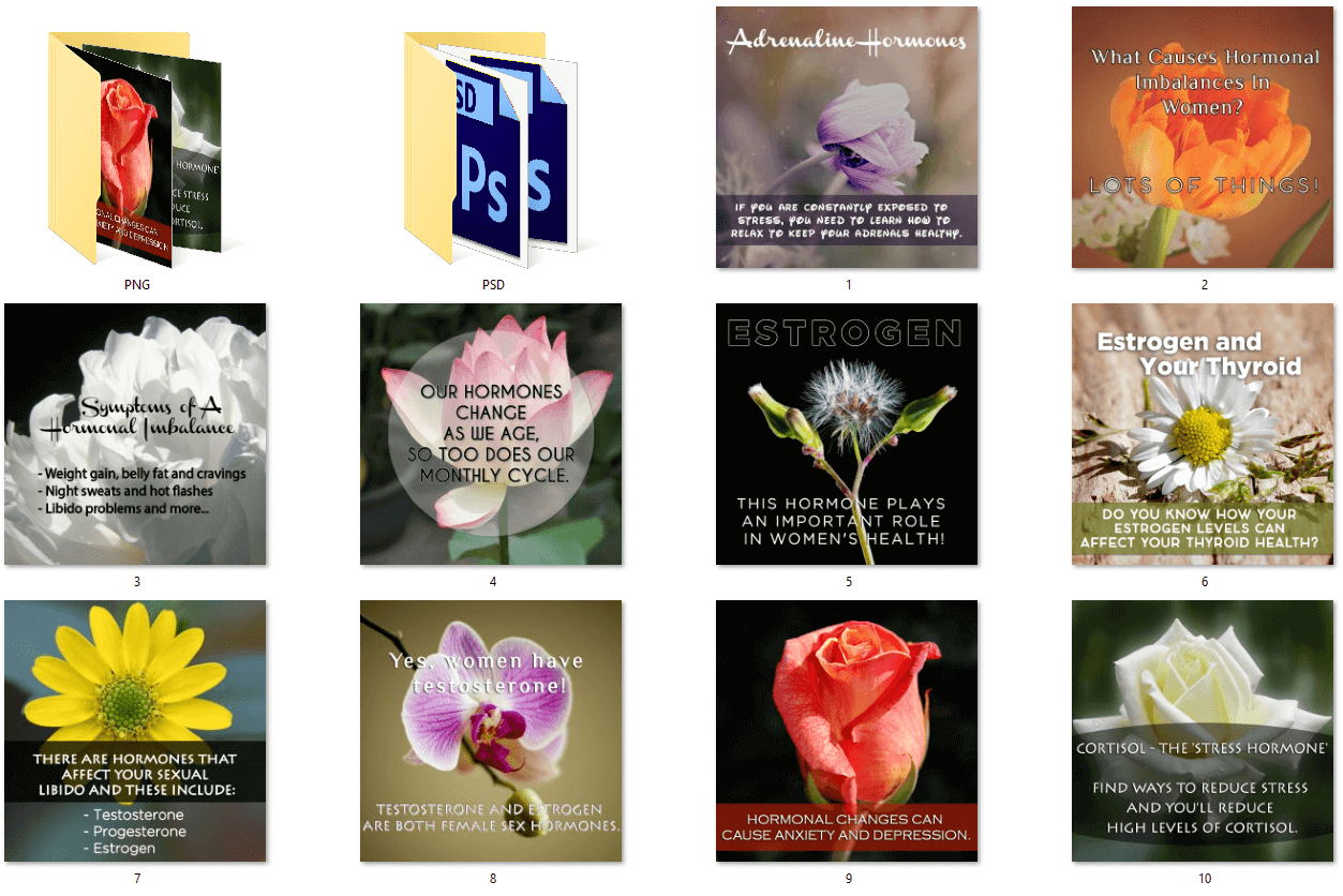 Womens Hormonal Health Social Posters