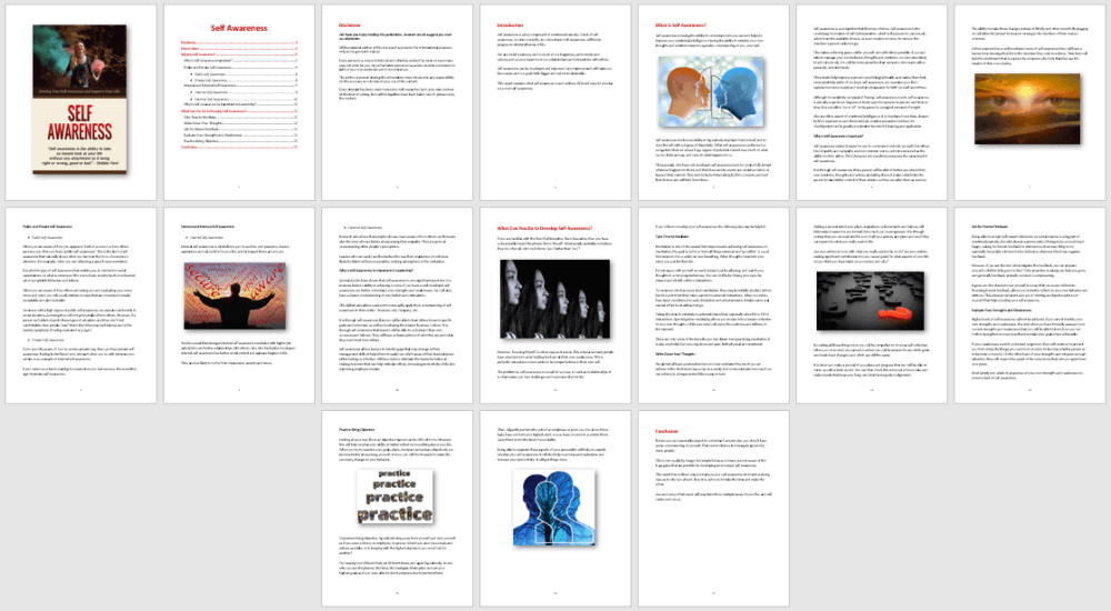 Self Awareness PLR Report