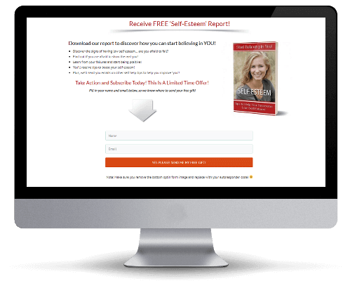 Self Esteem Squeeze Page