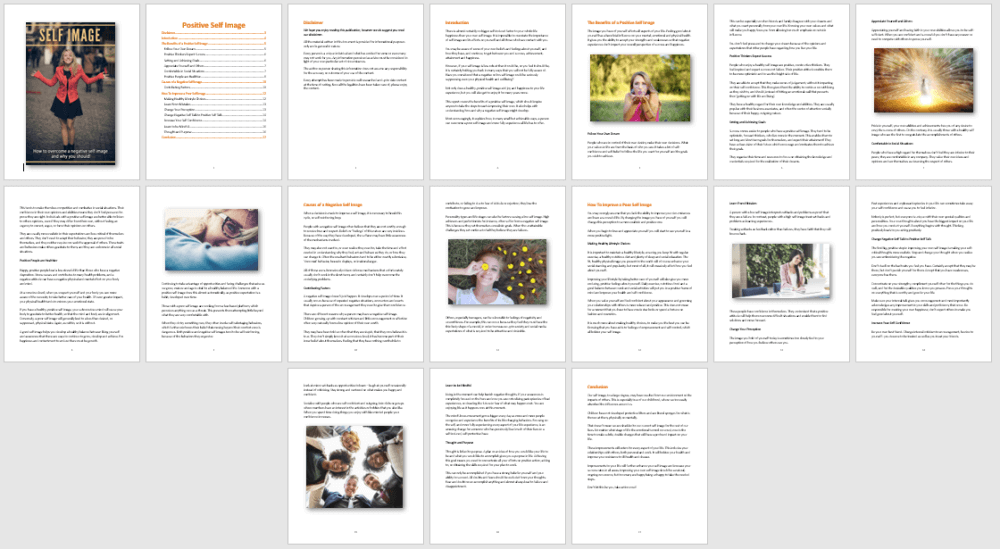 Self Image PLR Report