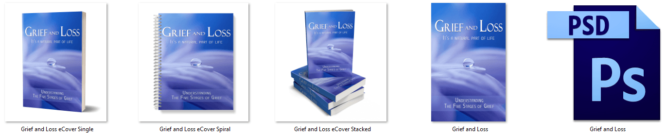 Grief and Loss PLR Report eCover Graphics