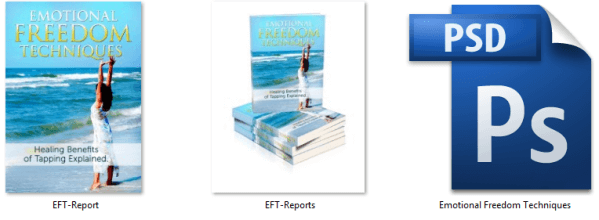 EFT Report Graphic Files