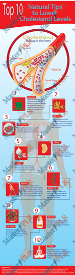 Cholesterol Infographic