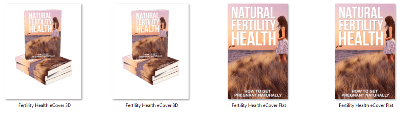 Womens Fertility Health PLR eCovers