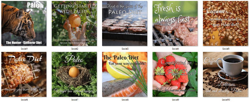 Paleo Social Posters PLR