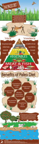 Paleo Diet PLR Infographic