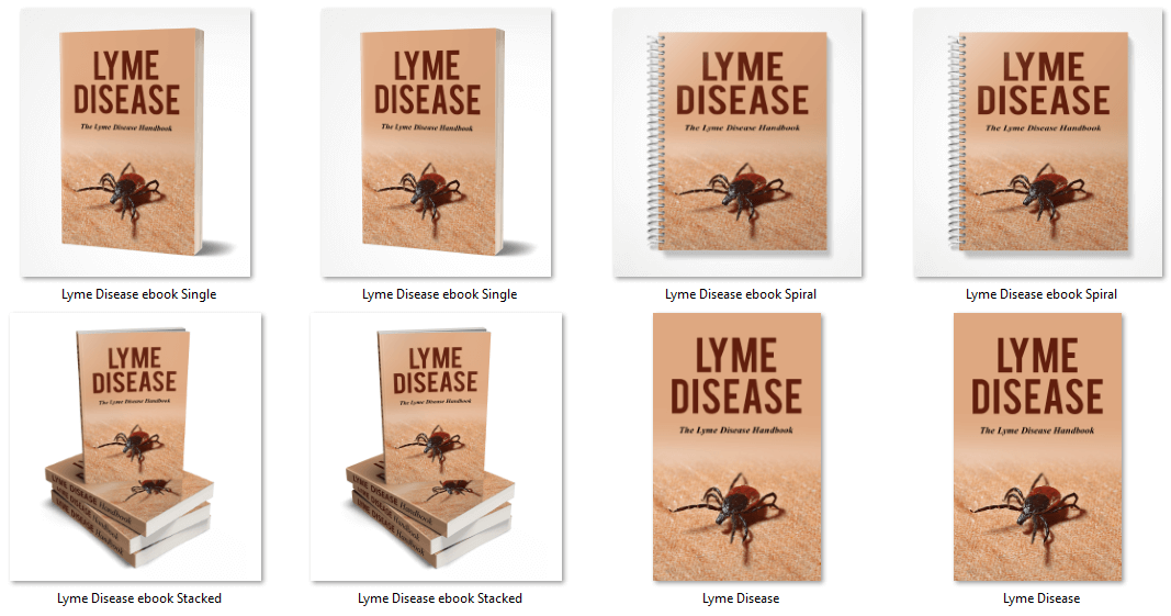 Lyme Disease PLR Report eCover graphics