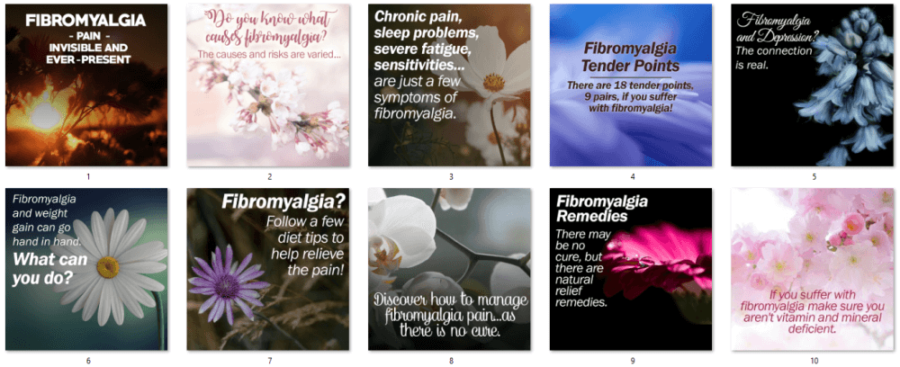 Fibromyalgia PLR Social Posters