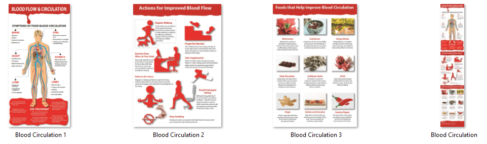 Blood Flow and Circulation PLR Infographics