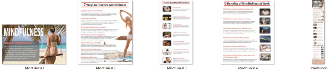 Mindfulness PLR Infographics