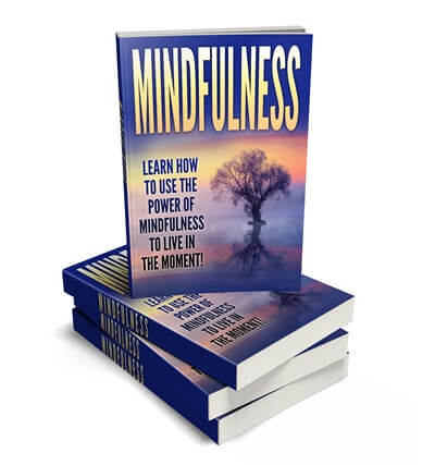 Mindfulness ecover graphic PLR