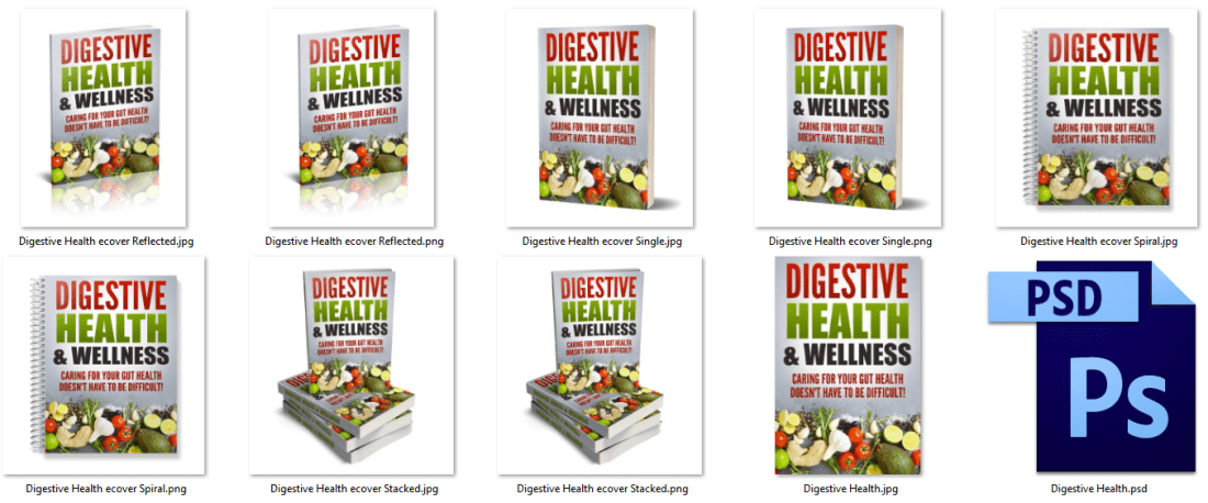 Digestive Health PLR eCover Graphics