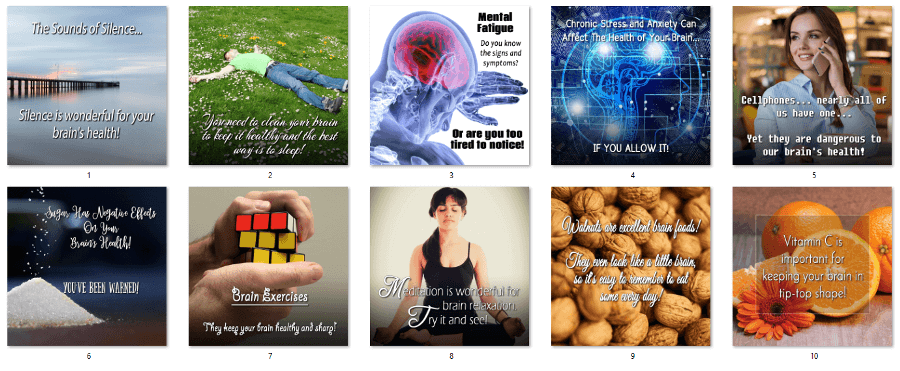 Brain Health PLR Social Posters