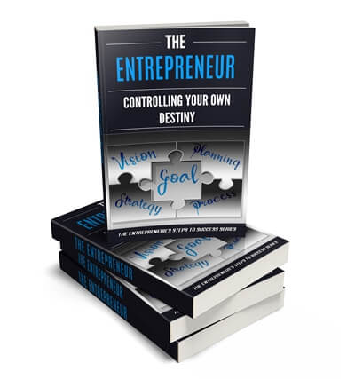 Entrepreneurial Success PLR Report eCover