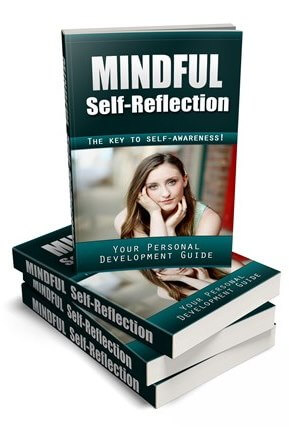 Mindful Self-Reflection PLR Report eCover