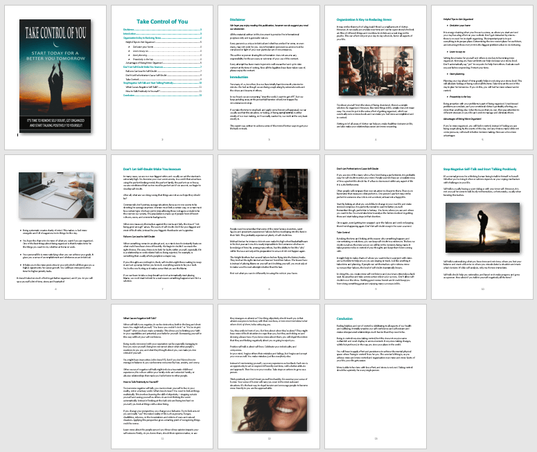 Take Control of You PLR Report