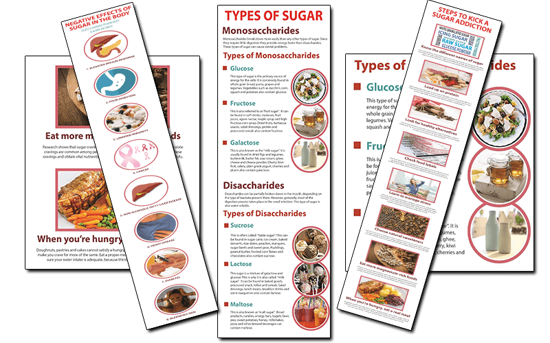 Types of Sugar PLR  Infographics