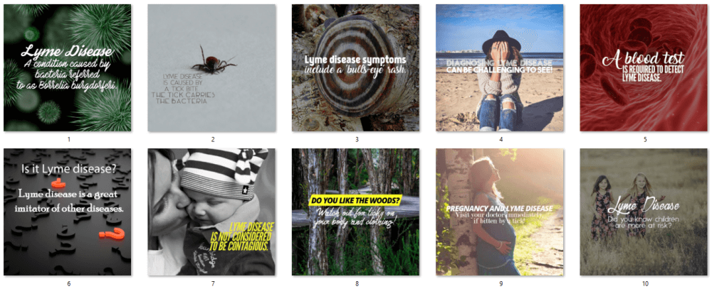 Lyme Disease PLR Social Posters