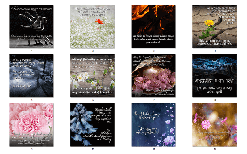 Menopause PLR Social Posters