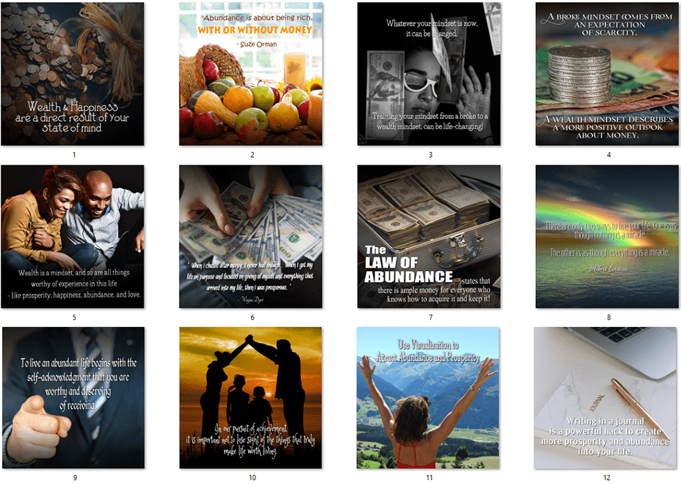 Abundance and Prosperity PLR Social Posters