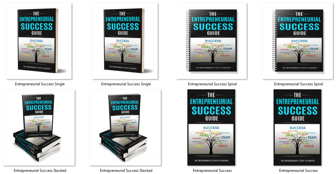 Entrepreneurial Success Guide PLR Report eCover Graphics