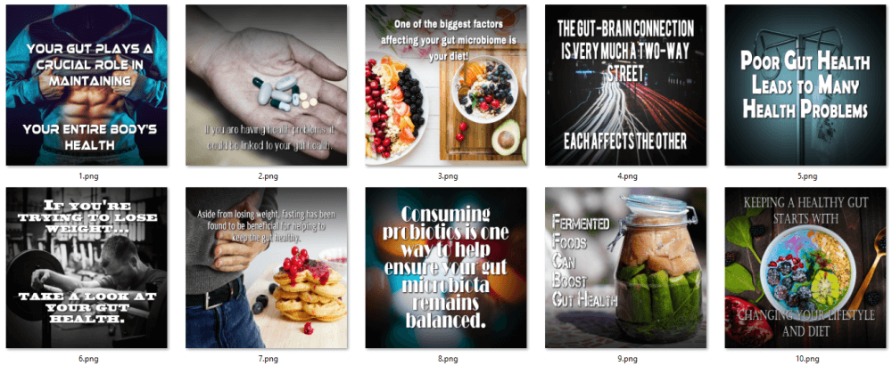 Gut Health PLR Social Posters