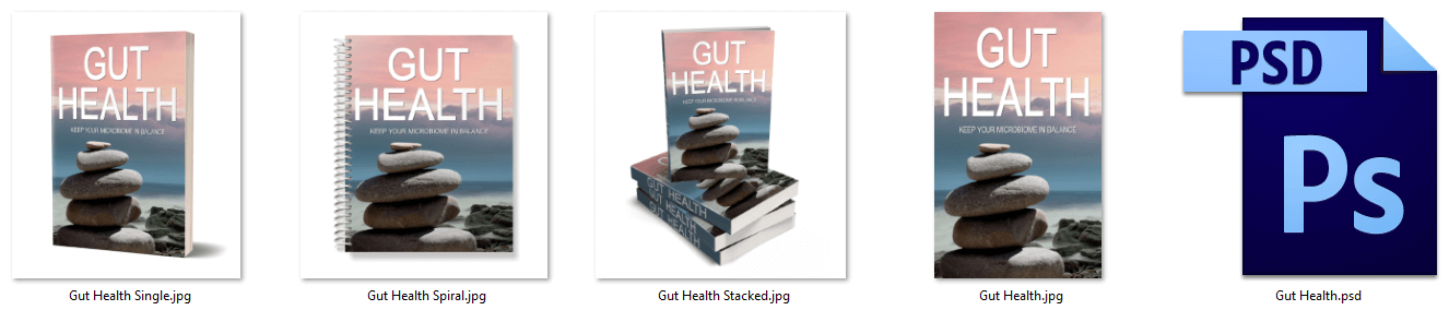 Gut Health PLR eCover Graphics