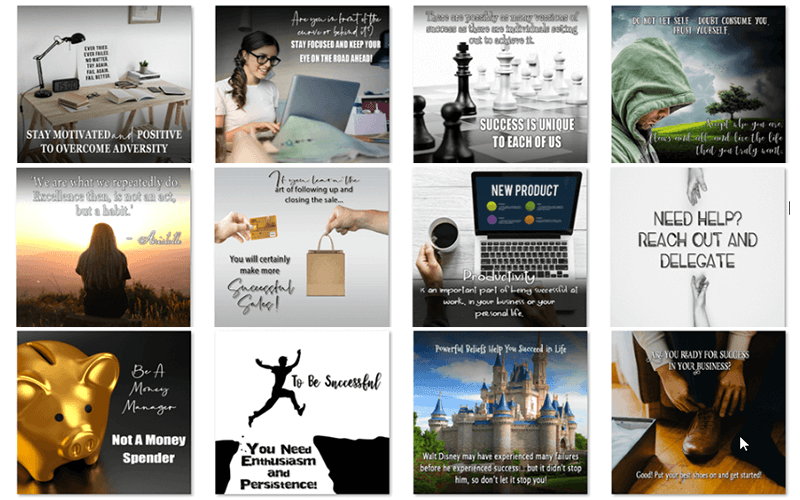 Abundance and Success PLR Social Posters