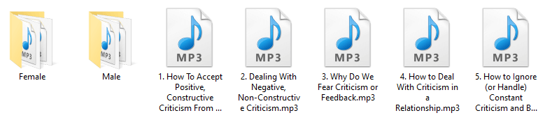 Criticism PLR Audio Articles