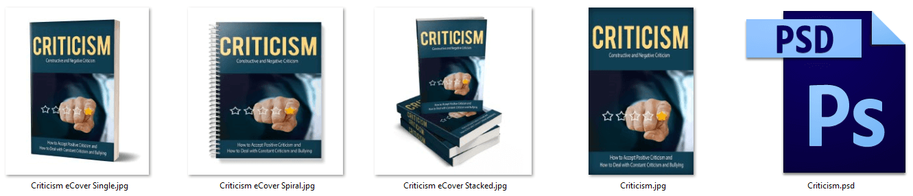 Criticism PLR Report eCover Graphics