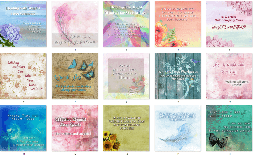 Weight Loss PLR Social Posters 1