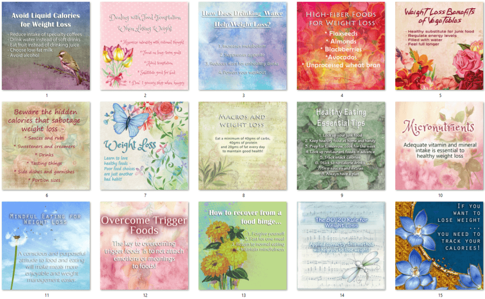Weight Loss PLR Social Posters 2