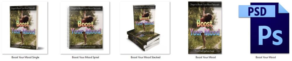 Boost Your Mood PLR Report or Ebook Cover Graphics