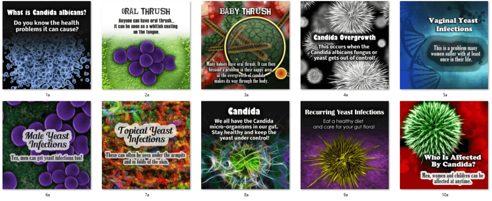 Candida Albicans PLR Social Posters