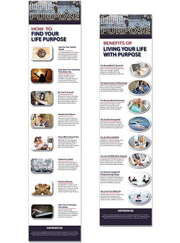 Life Purpose PLR Infographics