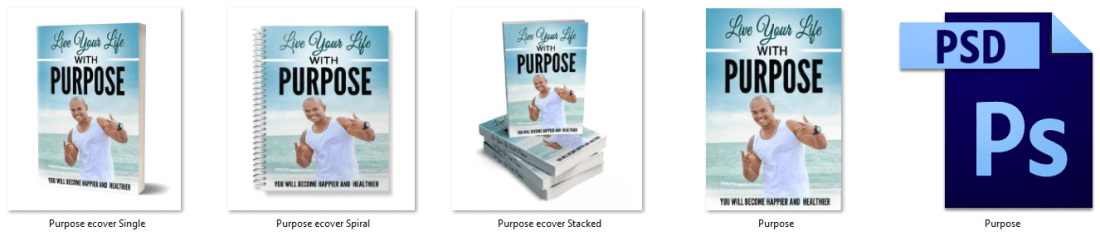 Live Your Life With Purpose PLR Report eCover Graphics