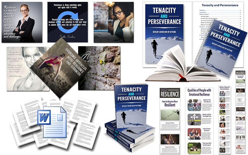 Resilience PLR Package