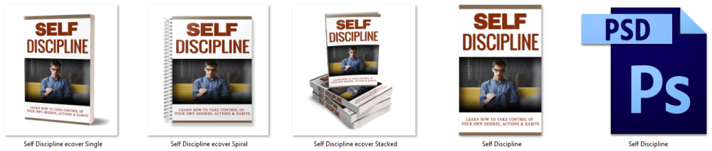 Self Discipline PLR eCover Graphics