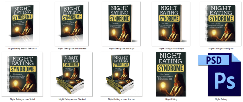 Night Eating Syndrome PLR Report eCover Graphics
