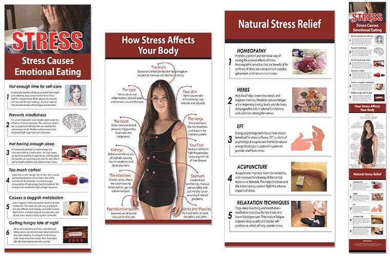 Stress Less for Better Health Wellness PLR Infographics