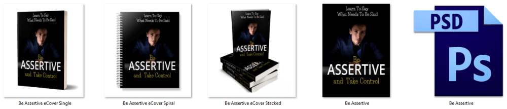 Be Assertive and Take Control PLR Report or eBook Cover Graphics