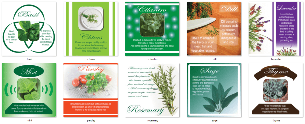 Healing Power of Herbs PLR Social Posters