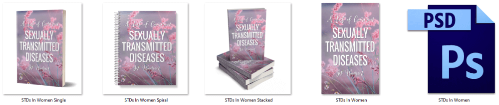 List of Common STDs in Women PLR Report eCover Graphics