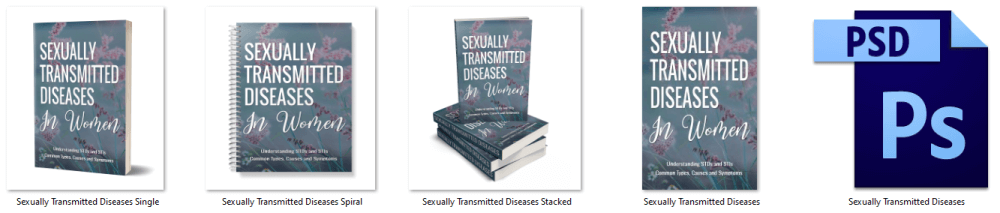 Sexually Transmitted Diseases in Women PLR EBook Cover Graphics